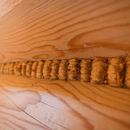 Apartamenty Dwupoziomowe Stasikowe Izby Bukowina Tatrzańska Dış mekan fotoğraf